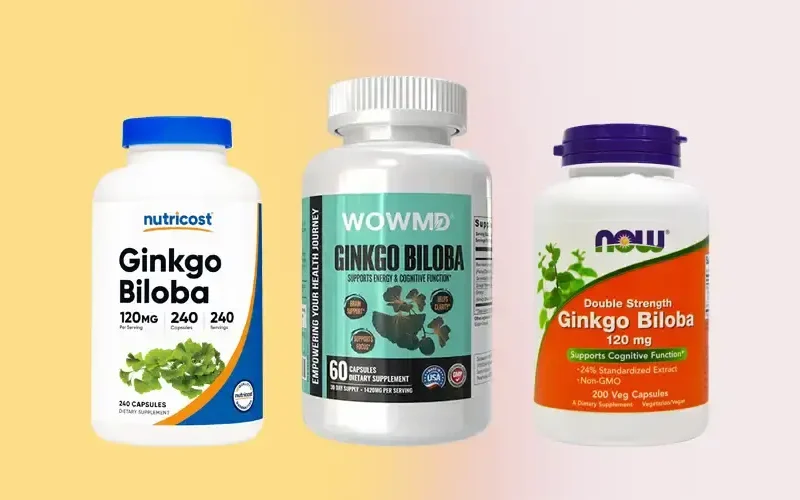 Best Ginkgo Biloba Supplements for Memory, Focus & Circulation (2026)