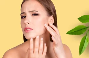 Top Moisturizers for Dry Skin — From Creams to Tallow Rich Formulas