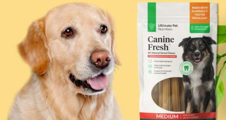 Canine Fresh Bewertungen: Natürliche Zahnkauartikel von Ultimate Pet Nutrition