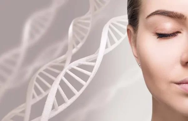 Stammzellen in der Hautpflege – Helfen Stammzellen bei der Reparatur Ihrer Haut?