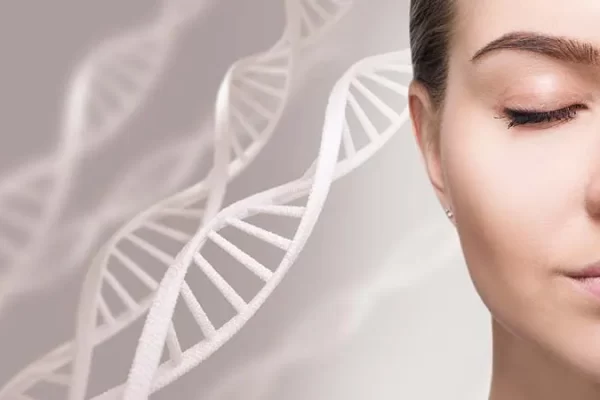 Stem Cells in Skin Care – Do Stem Cells Help Repair Your Skin?