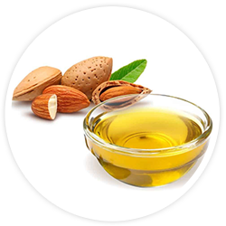 Almond Oil Almond Oil